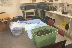 lions-club-eyeglasses-drop-off-calgary-corrections-04